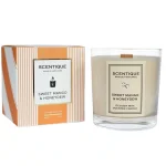 SWEET MANGO AND HONEYDEW